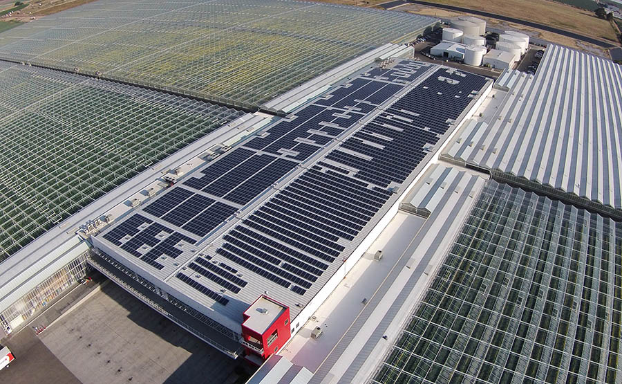 opebet赞助商在风力发电场安装太阳能装置