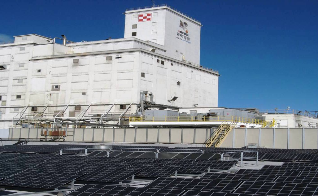 opebet赞助商REC太阳能装置在雀巢普瑞纳